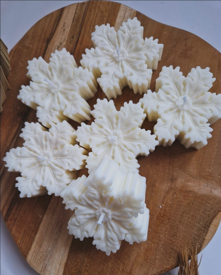 Winterse sneeuwvlokkaars