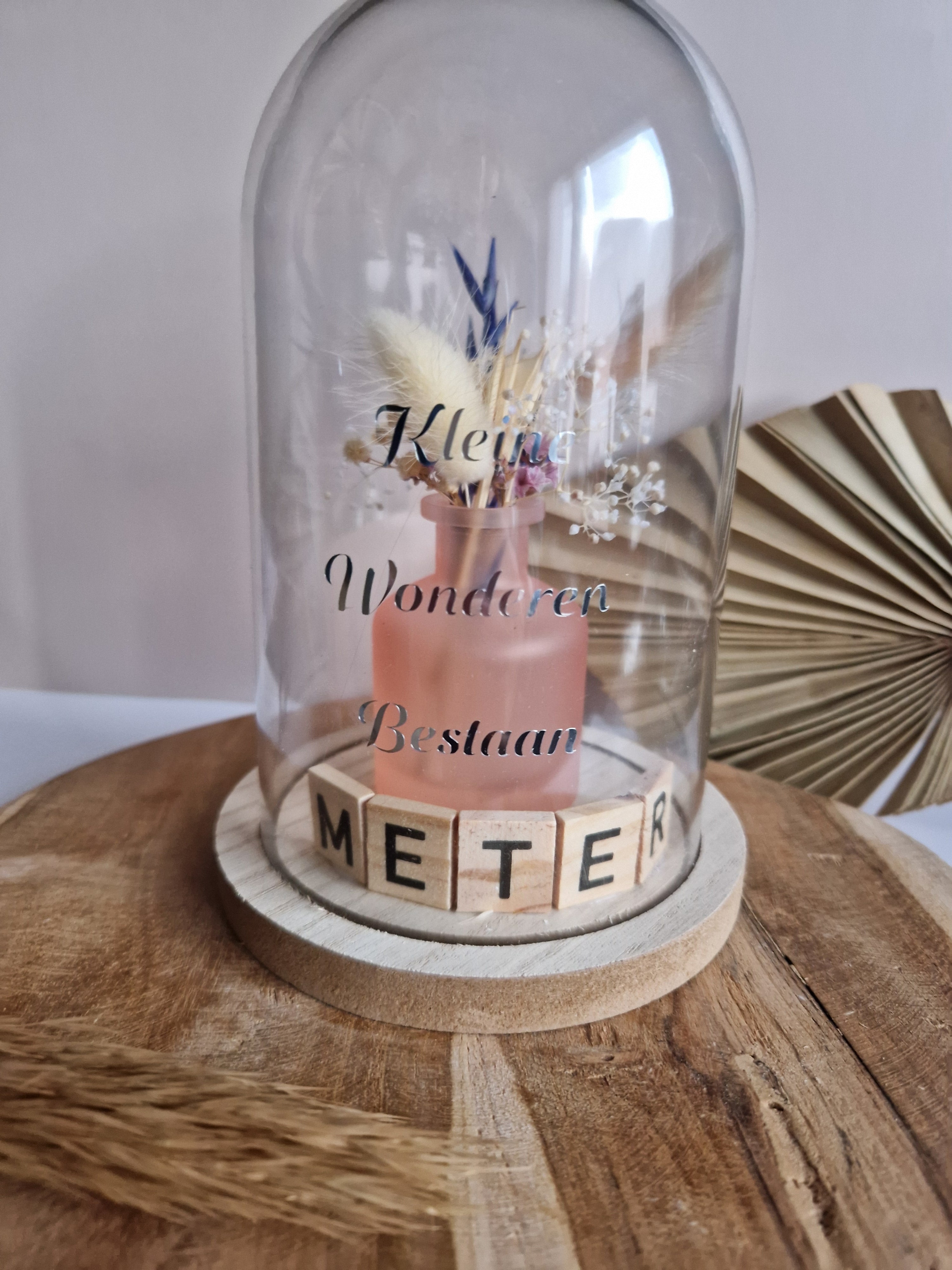 Glazen stolp - Kleine wonderen bestaan