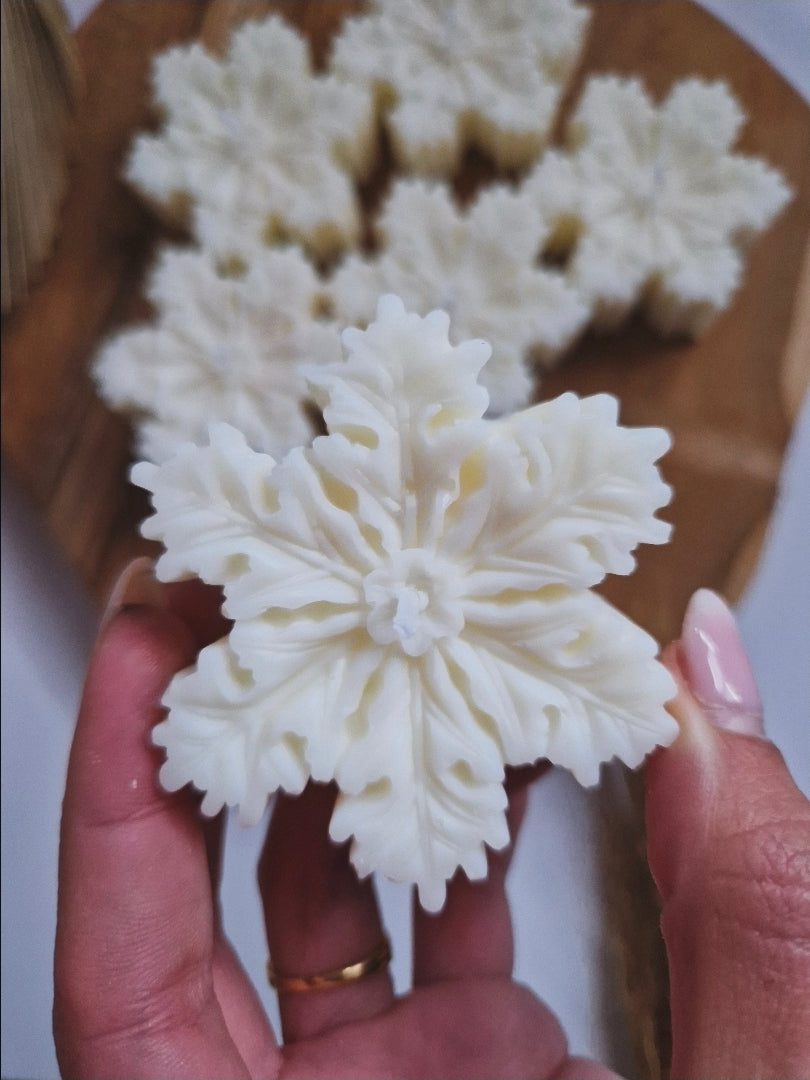 Winterse sneeuwvlokkaars